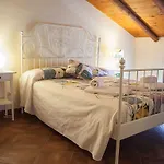 Le Coccole Katanya