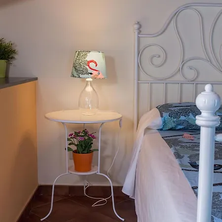 بيت شباب Le Coccole
